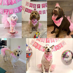 ADOGGYGO Dog Birthday Hat Bandana Girl - Image 2