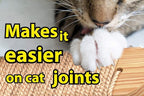 Skywin Cat Steps - Image 6
