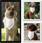 Engagement Gifts I do Too! Dog Bandana Pet Scarf Wedding Photo Prop Pet - Image 5
