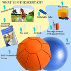 Herding Ball for Dogs, Dual Layered Herding Dog Ball Set for Australian Shepherd - Image 4