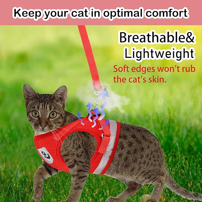 Cat Harnesses and Puppy Harness - Image 2