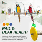 Sweet Feet and Beak Roll Bird Swing - Image 5