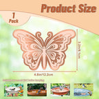 Bird Bath Copper Disk, 0.6mm Reinforced 99.9% Pure Copper Cleaning Disk - Image 2