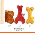 Nylabone Power Chew Toy Bundle, Cute Dog Toys - Image 5