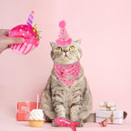 BINGPET Cat Birthday Catnip Toys - Image 7