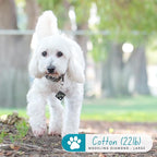 Ultra Joys Dog Tags Personalized - Image 3