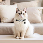 Peace of Mind Cat Collar 2-Pack: QR Code Tag - Image 6