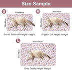Dono 1 Pack 3 Dog Blankets for Small Dogs, Soft Fluffy Paw Print Pattern Fleece - Image 2