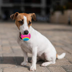 SPOT Sensory Ball for Soft Chewers - Image 5
