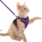 rabbitgoo Cat Harness and Leash by rabbitgoo