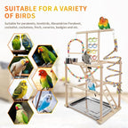 Bird Playground, Parrots Playstand - Image 5