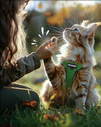 FAYOGOO Cat Harness, Cat Leash and Harness Set - Image 7