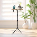 Wooden Bird Perch Stand with a Height Adjustable Tripod, Bird Training - Image 6