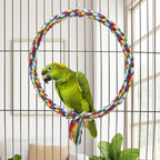 Bird Rope Swing Colorful Perch Climbing Toy - Image 4
