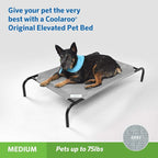 Coolaroo Original Elevated Dog Bed - Image 2