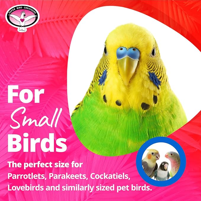 Super Bird Creations SB680 Balsa Stack Bird Toy, Small Bird Size, 6.5" x 2" - Image 3