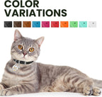 BRONZEDOG Leather Cat Collar - Image 5