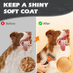 3PCS Pet Grooming Rake & Metal Comb & Flea Comb - Image 6