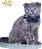 LLHK 4 Pack Small Fish Cat Collars - Image 7