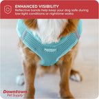 Downtown Pet Supply Step-in Dog Harness – No Pull, Adjustable Padded Mesh - Image 7