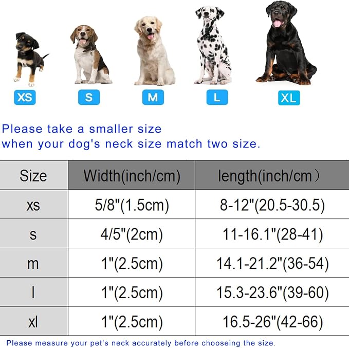 DOGWONG Spring Flower Dog Collar-Cute Floral Daisy Dog Collar, Adjustable Soft - Image 6