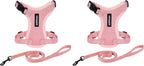 Voyager Step-in Lock Adjustable Cat Harness w. Cat Leash Combo Set by BestPetSuppliesLLC
