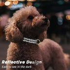 Reflective Dog Collar for Large Dogs, Cute Leopard Style Adjustable Heavy-Duty - Image 3