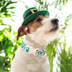 DOGWONG St. Patrick's Day Dog Collar - Image 4