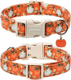DOGWONG Fall Pumpkin Dog Collar- Cute Daisy Pumpkin Dog Collars Adjustable - Image 2