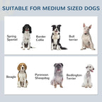 PawHut Pet Feeding Station, Elevated Dog Bowls, Dog Food Storage Cabinet - Image 4