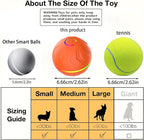 2026 T01 Interactive Dog Toys Dog Ball, Automatic Rolling and Bouncing Moving - Image 5