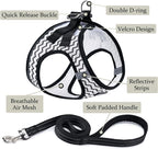 BOOMIBOO Dog Harness with Leash Set, No Pull Adjustable Reflective Step-in - Image 2