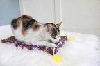 FAT CAT Big Mama's Scratch Cat Toy Box Includes 100% Organic Catnip Grown In - Image 4