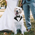Segarty Formal Dog Tuxedo Bandana Dog Wedding Attire, Adjustable Collar - Image 5