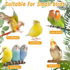 Hamiledyi Nature Wooden Bird Ladder Pet Parrots Climb Bridge Exercise Stands - Image 7