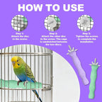 2pcs Bird Beak Grinding Stone, Resin Anti-Slip Beak Grinder Stone Bird Nail - Image 5