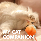 Rocfish Interactive Cat Toy for Indoor Cat, Smart Automatic Cat Chase Ball Toy - Image 7