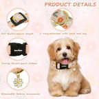 Dog Collar for Extra Small Dogs, Spring &Summer Theme Orange Small Dog Collars - Image 4
