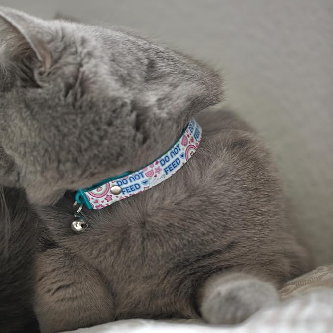 New Kittyrama No Feed Cat Collar - Image 3