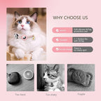 Smart QR Code Cat Collar with Online ID Profile & Integrated Airtag Holder - Image 6