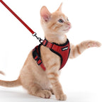 rabbitgoo Cat Harness and Leash by rabbitgoo