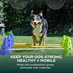 FitPAWS Ball Dynamics CanineGym Agility Kit - Image 2