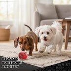 Pet Qwerks Blinky Babble Ball - Image 8