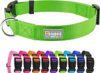 Dog Collar Green Basic Dog Collars by Penseepet