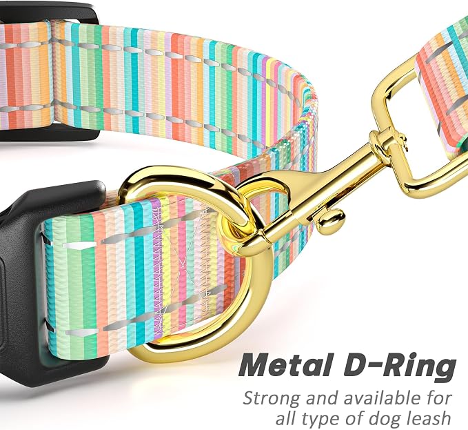 Reflective Dog Collar, Cute Dog Collar - Image 5
