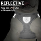 PUPTECK Adjustable Dog Harness Collar and Leash Set Step in No Pull Pet Harness - Image 5
