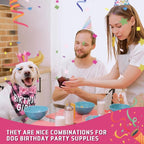 Weewooday Dog Birthday Party Supplies Birthday Boy Girl Cake Bandana Triangle - Image 3