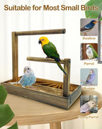 8 Pcs Small Bird Training Stand Set Portable Tabletop Birds Perch Desktop - Image 5