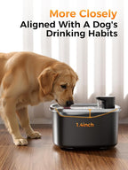 10L/2.64GAL Wireless Water Fountain - Image 6