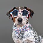 Lionheart glory American Flag Dog Collar, 4 of July Dog Bow Collar Heavy Duty - Image 6